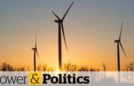 Green-Party-promises-to-transition-Canada-to-a-green-economy-Power-Politics