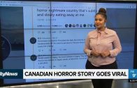 International-students-tweets-about-Canada-go-viral