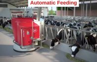 Lely Vector – Improve the feeding kitchen in farming via innovation and technology – Animation (EN)