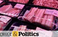 China-lifts-Canadian-pork-and-beef-ban-Power-Politics