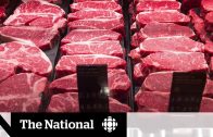 Tensions thaw slightly as China resumes imports of Canadian beef, pork